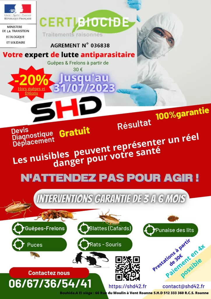 Flyer Promotions désinsectisation dératisation